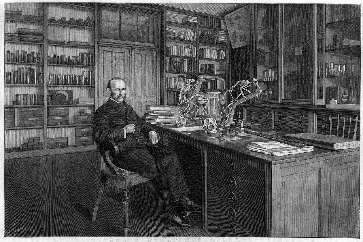 Alphonse Milne Edwards (Milne-Edwards av Unknown artist
