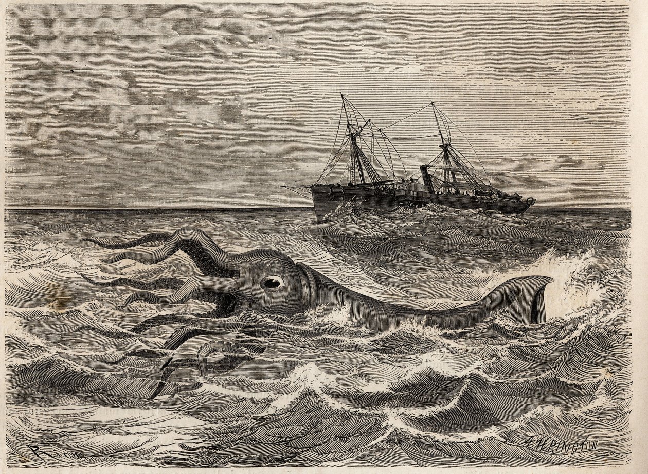 En 18-fots gigantisk bläckfisk (eller bläckfisk), sett i havet fyrtio ligor från Teneriffa (Spanien), av besättningen på Alecton, en ångbåt under ledning av berättaren. Gravyr för att illustrera resan i Franska Guyana 1862-1863, av Frederic Bouyer, cap av Unknown artist