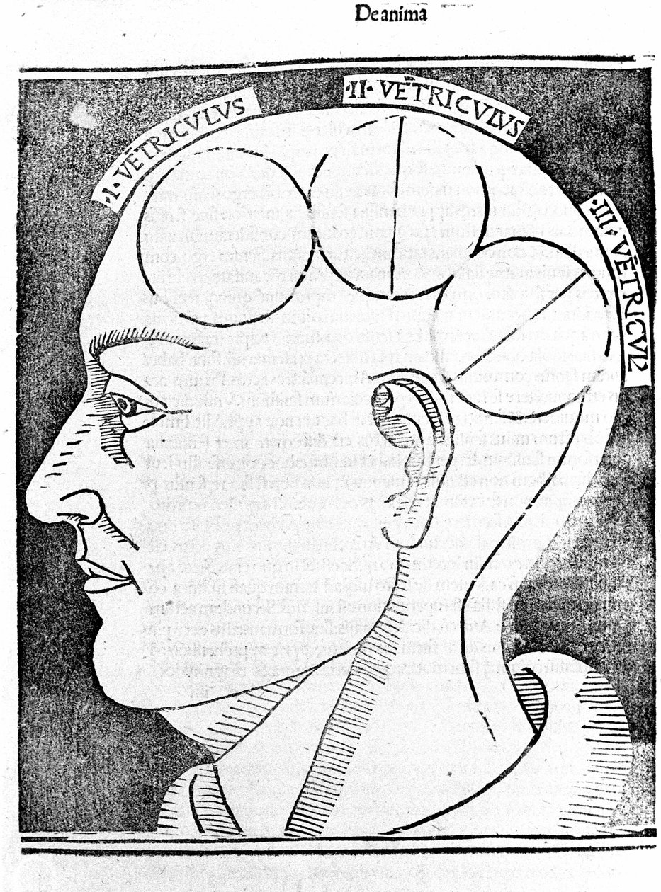 Aristoteles bok IV om himlarna och världen Detta är Aristoteles bok med kommentaren från St. Peters Thomas av Aquino med en ytterligare förklaring av Peter av Alvernia. Venedig, upplaga av 1495 av Unknown artist