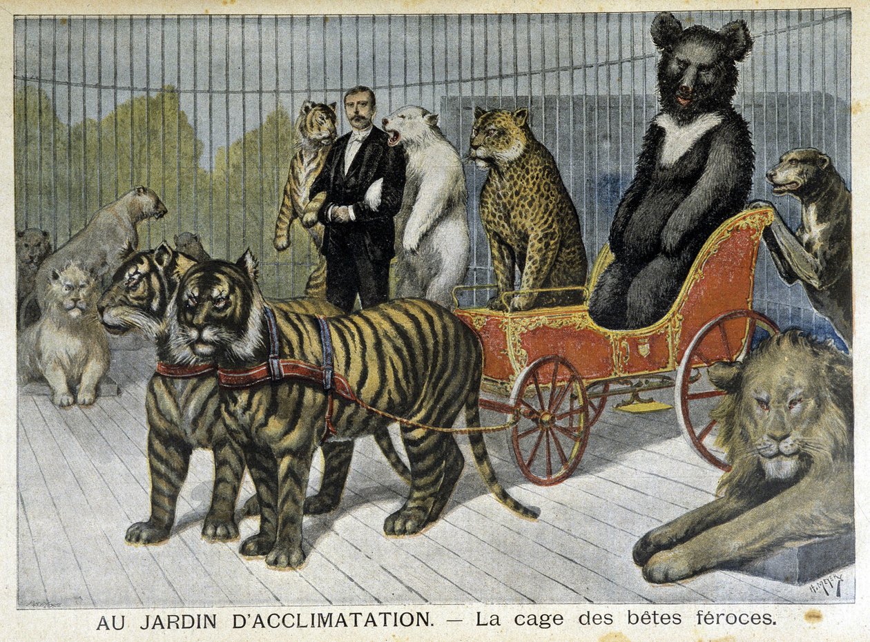 I acklimatiseringens trädgård: de vilda djurens bur - i "" Le Petite Journal"" av 1895-06-02 av Unknown artist