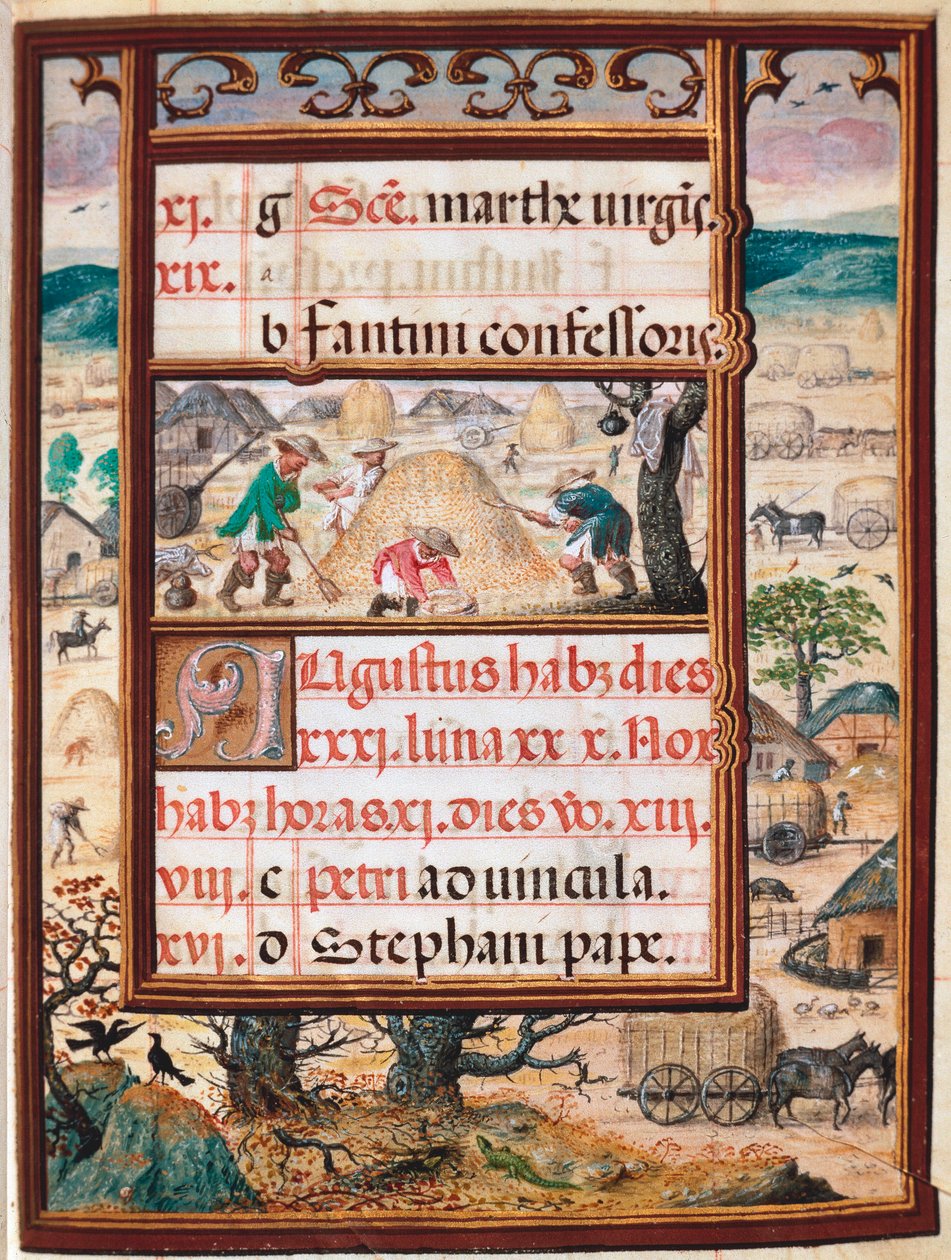 augusti. Bönder på jobbet. Sida i manuskriptet "Timmarsbok" av Manuel I av Portugal (1469-1521) 1517. Lissabon, Museo di Arte Antica av Unknown artist
