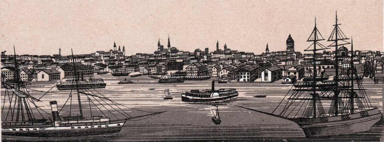 Baltimore, USA: General View. i "The World Illustrates 168 Views" Odaterat (slutet av 1800-talet) av Unknown artist