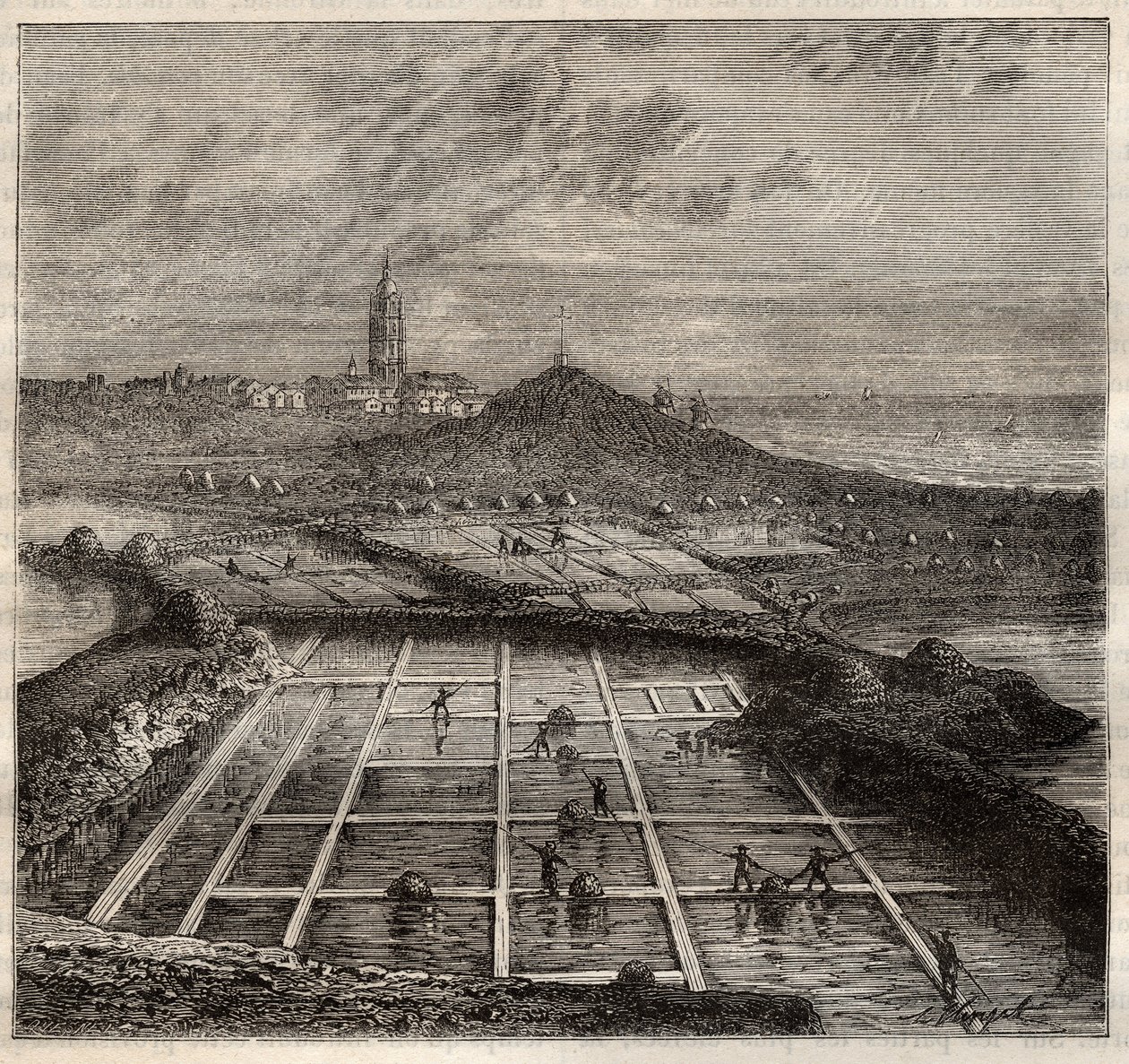Batz sur Mer, Bretagne, Frankrike - Salttillverkning. Vy över en saltmark i västra Frankrike - gravyr i 