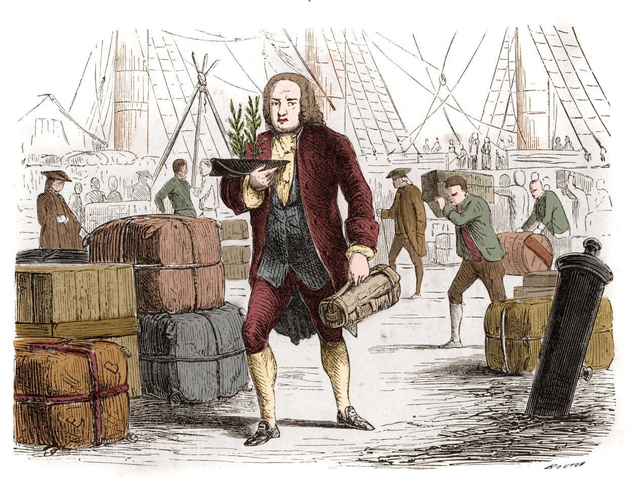 Bernard de Jussieu (1699-1777), fransk botaniker med två ceder från Libanon från England 1734. Gravyr från 1861. av Unknown artist