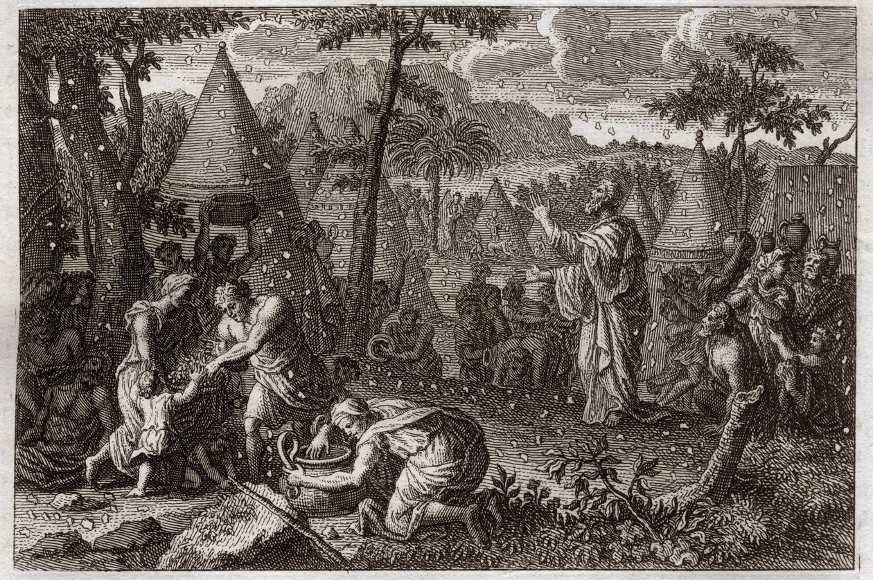 Bibeln från Royaumont, Gamla testamentet: Judar i öknen (eller mannaupproret). Gud låter manna falla från himlen i fyrtio år. Illustration från 1811. av Unknown artist