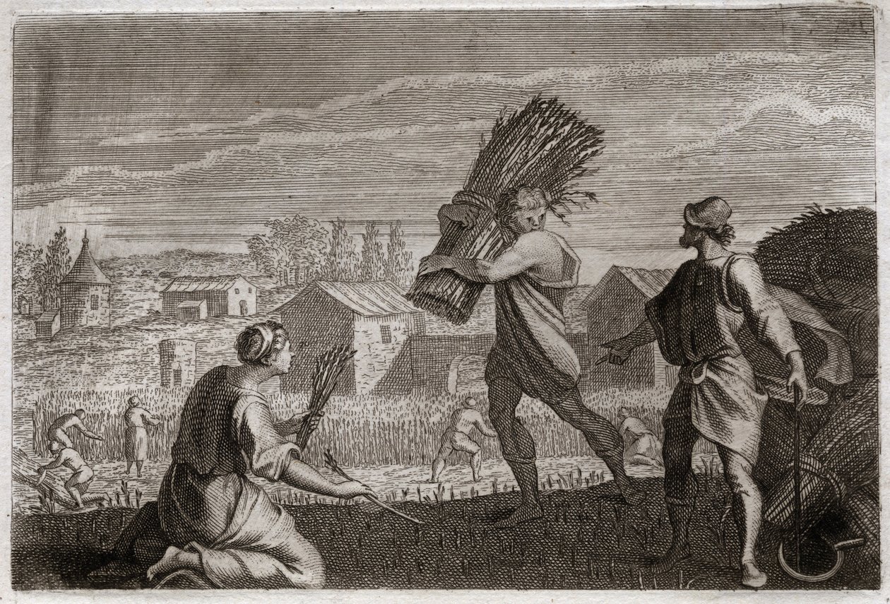 Bibeln om Royaumont, Gamla testamentet: Rut följer sin svärmor Noemi (Naomi, Noemie) i Juda land och skördar Boas (Boas) vetefält. Illustration från 1811. av Unknown artist