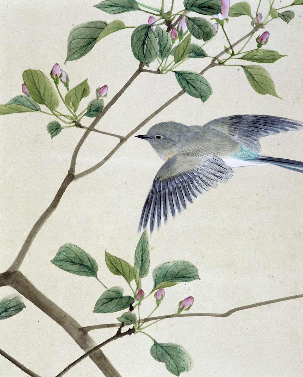 Fågel - japansk teckning av Riou Chim, sent 1800-tal av Unknown artist