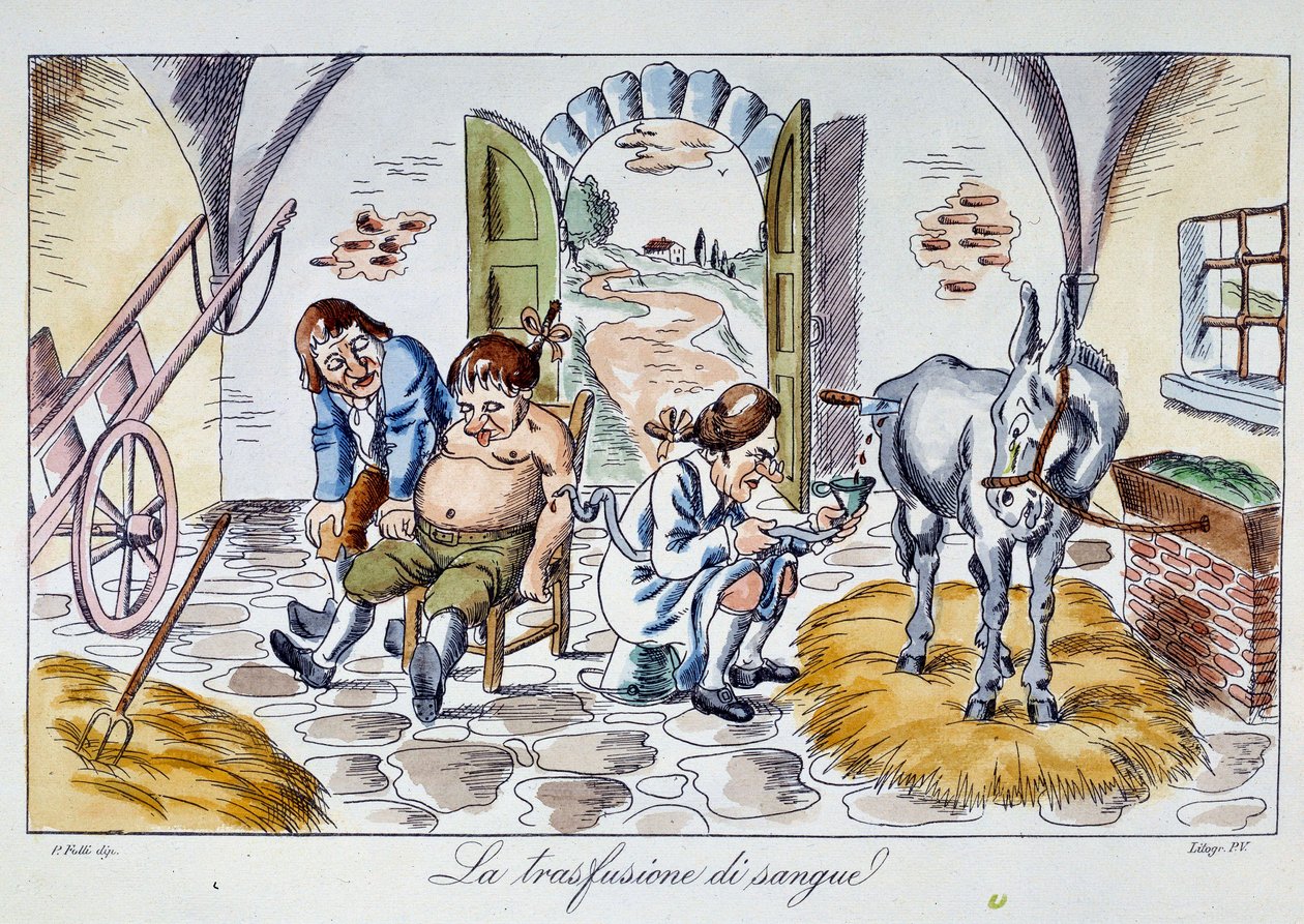Blodtransfusion En läkare injicerar hästblod i en patient. Tecknad film från 1800-talets privata samling av Unknown artist