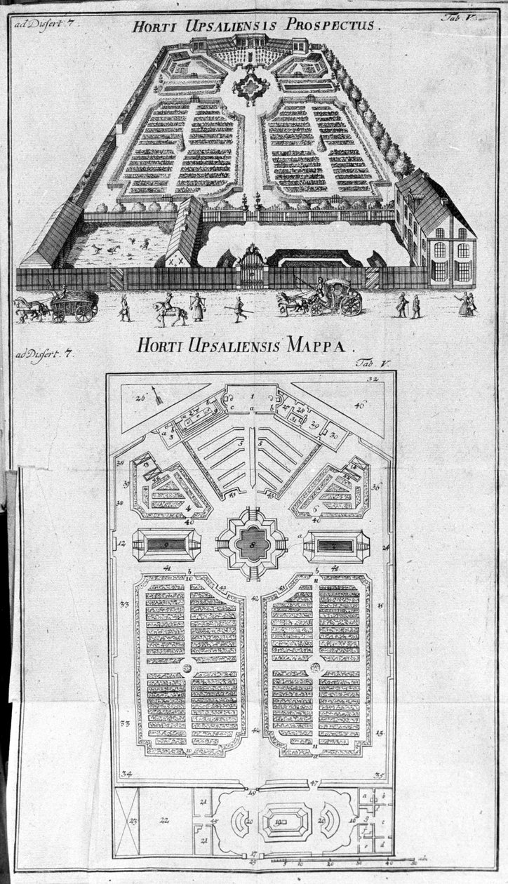 Botaniska trädgården - HORTI UPSALIENSIS prospektiv och plan. av Unknown artist