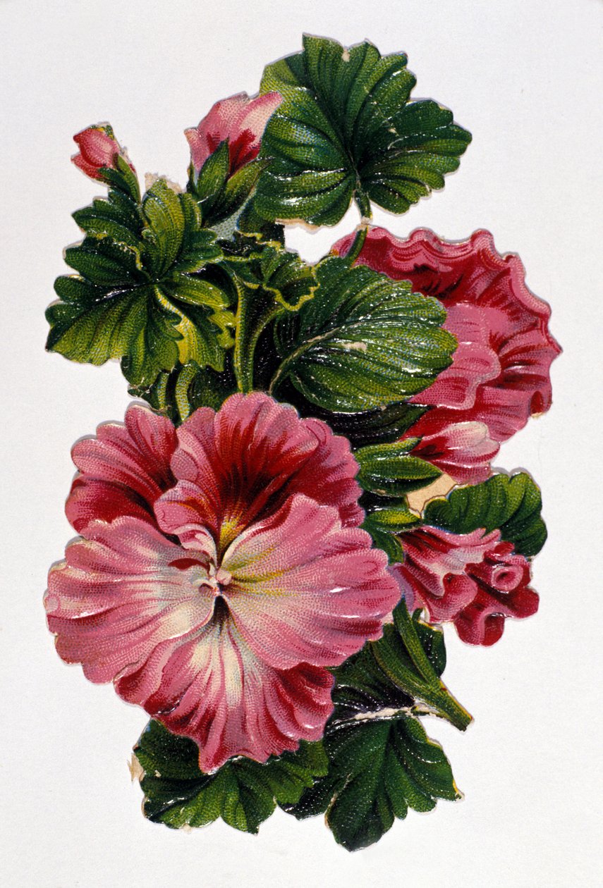 Blombukett. 1800-talets kromolitografi. av Unknown artist