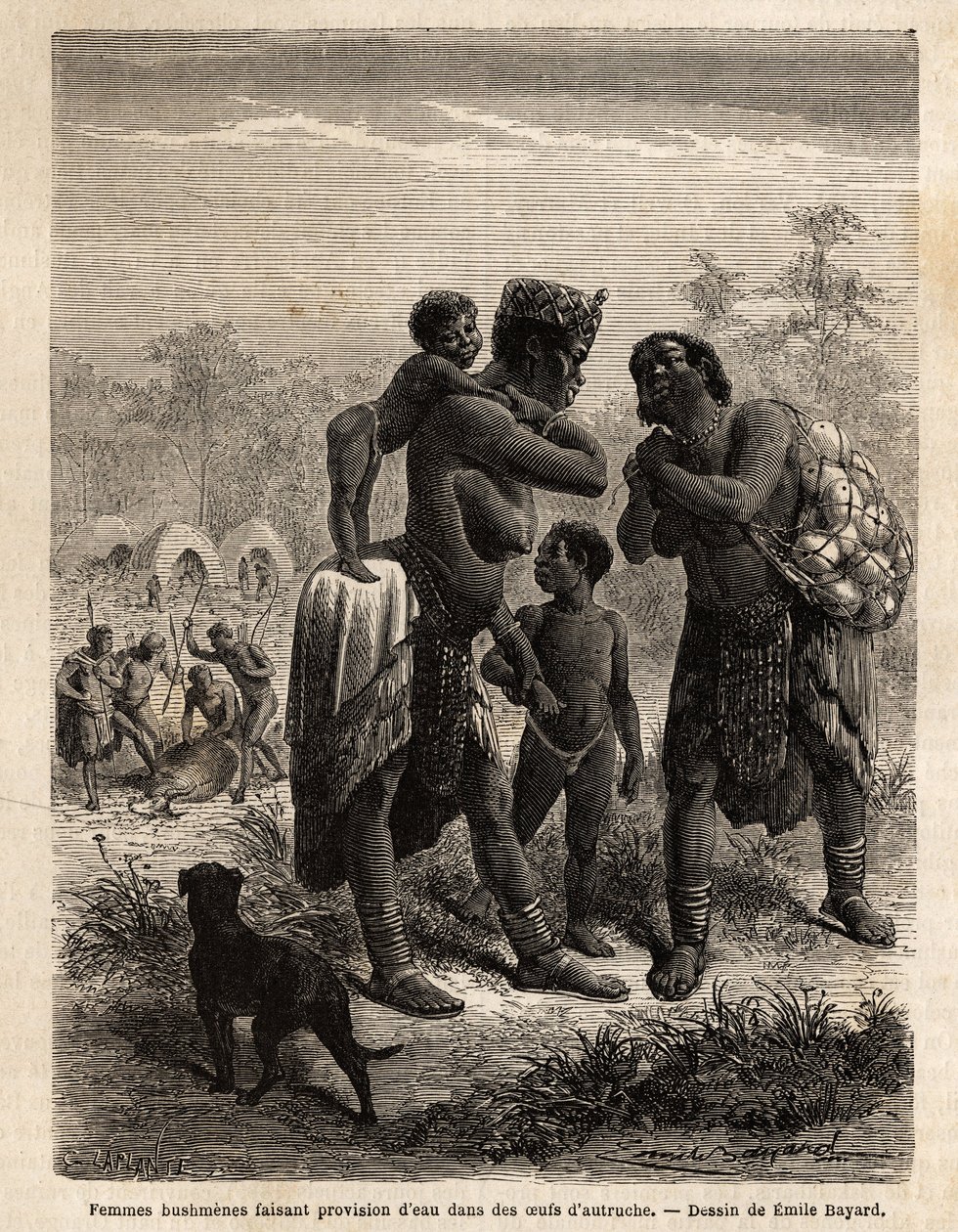 Bushmenes lager vatten i strutsägg, åtföljda av sina barn; i bakgrunden, sett från byn och män som slaktar en antilop. Gravyr för att illustrera Dr. Livingstones första resor till södra Afrika från 1840 till 1856, i "Le tour du av Unknown artist