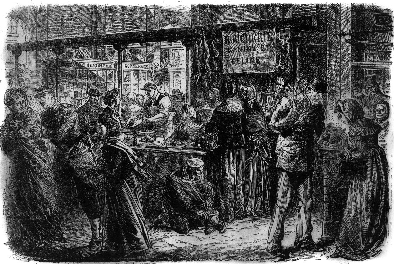 Slaktarhund och kattdjur i Paris 1870 av Unknown artist