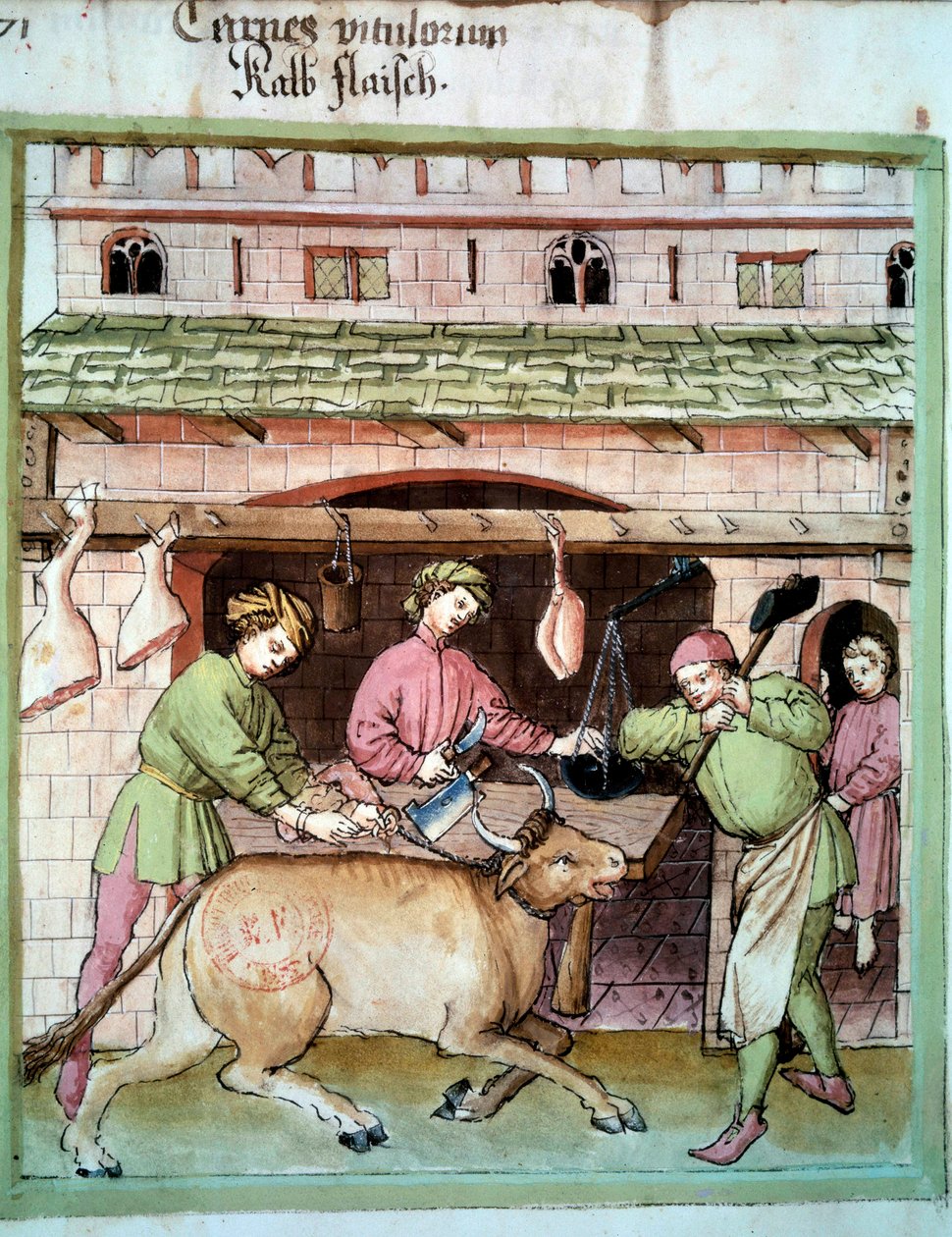 Slakt: slakt av en oxe. Belysning från mjölkning av medicin och diet "" Tacuinum sanitatis"" av Unknown artist