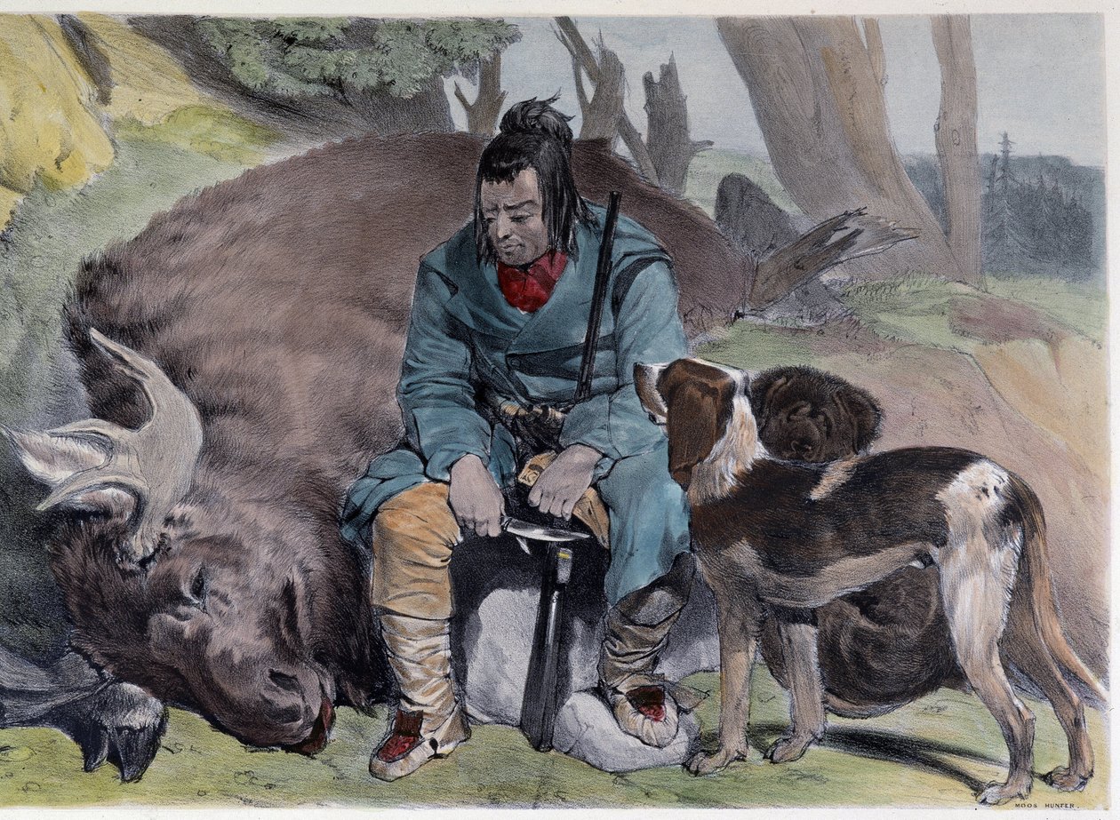 Kanadensaren Huron Elk Hunt - i "" Shyths sketcher in the Canadas"" av Coke Smyth, London av Unknown artist