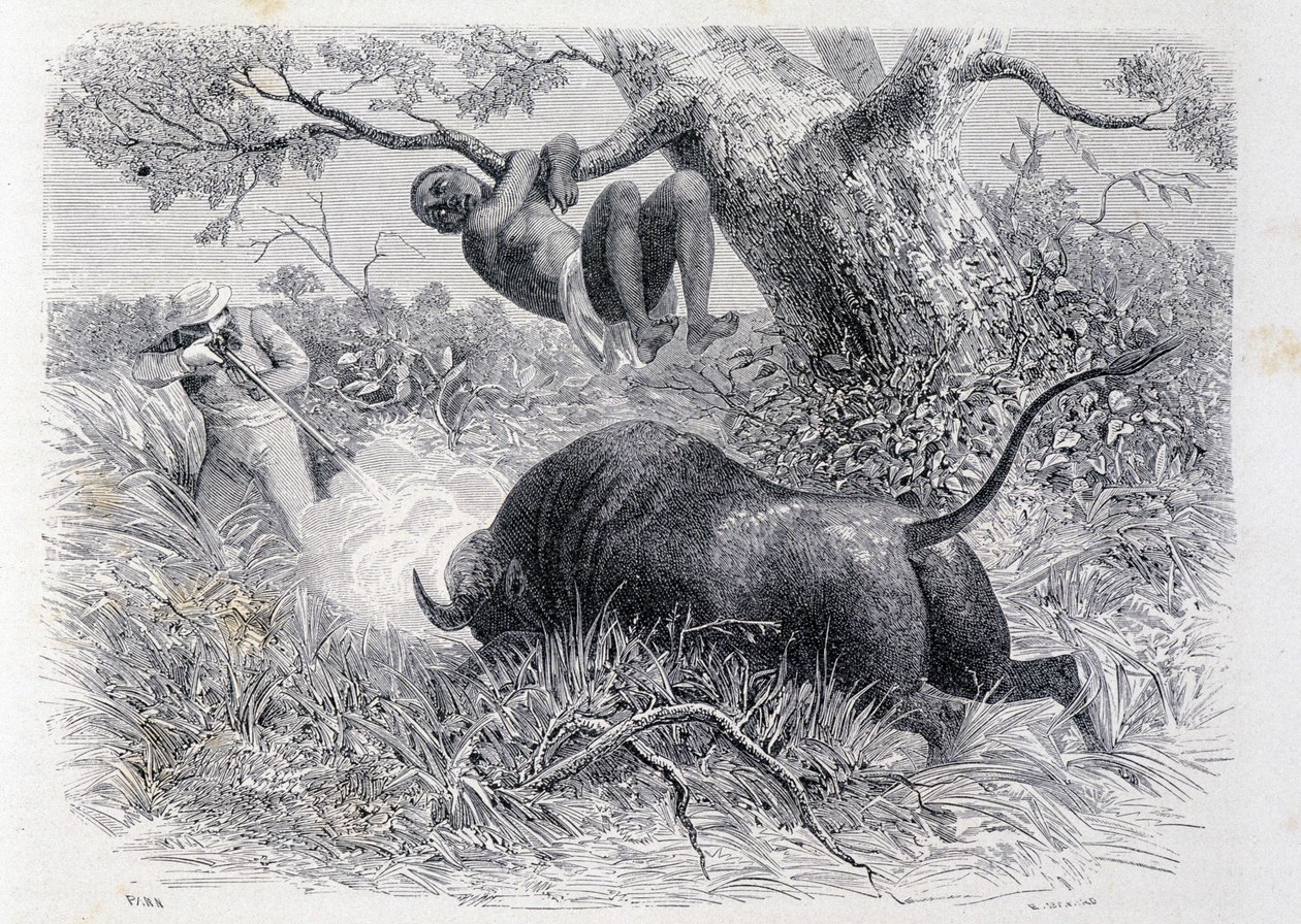 Kapten Speke jagar buffel - i "" Tour du Monde"" av Unknown artist