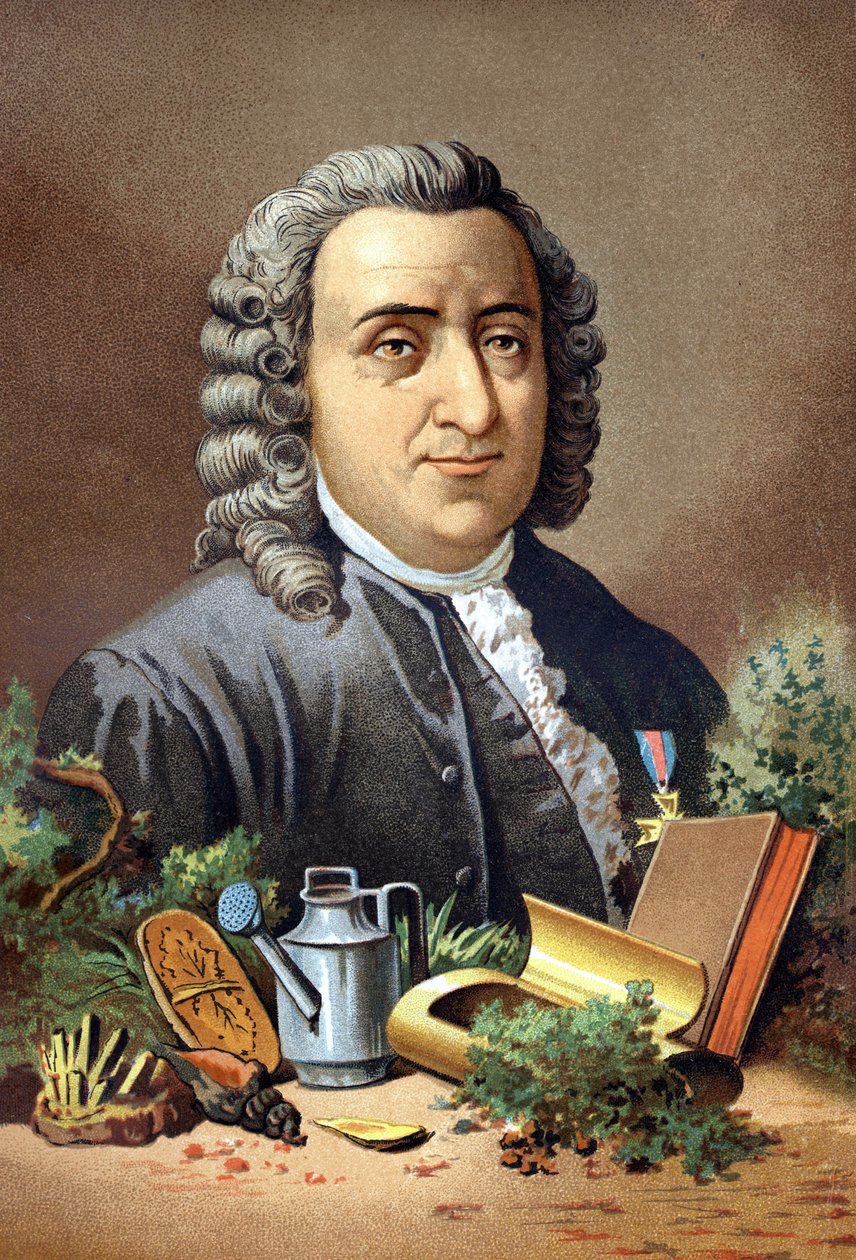 Carl Von Linné svensk naturforskare och författare (1707 - 1778) efter "Science and its Men" av Louis Figuier. Barcelona 1881 av Unknown artist