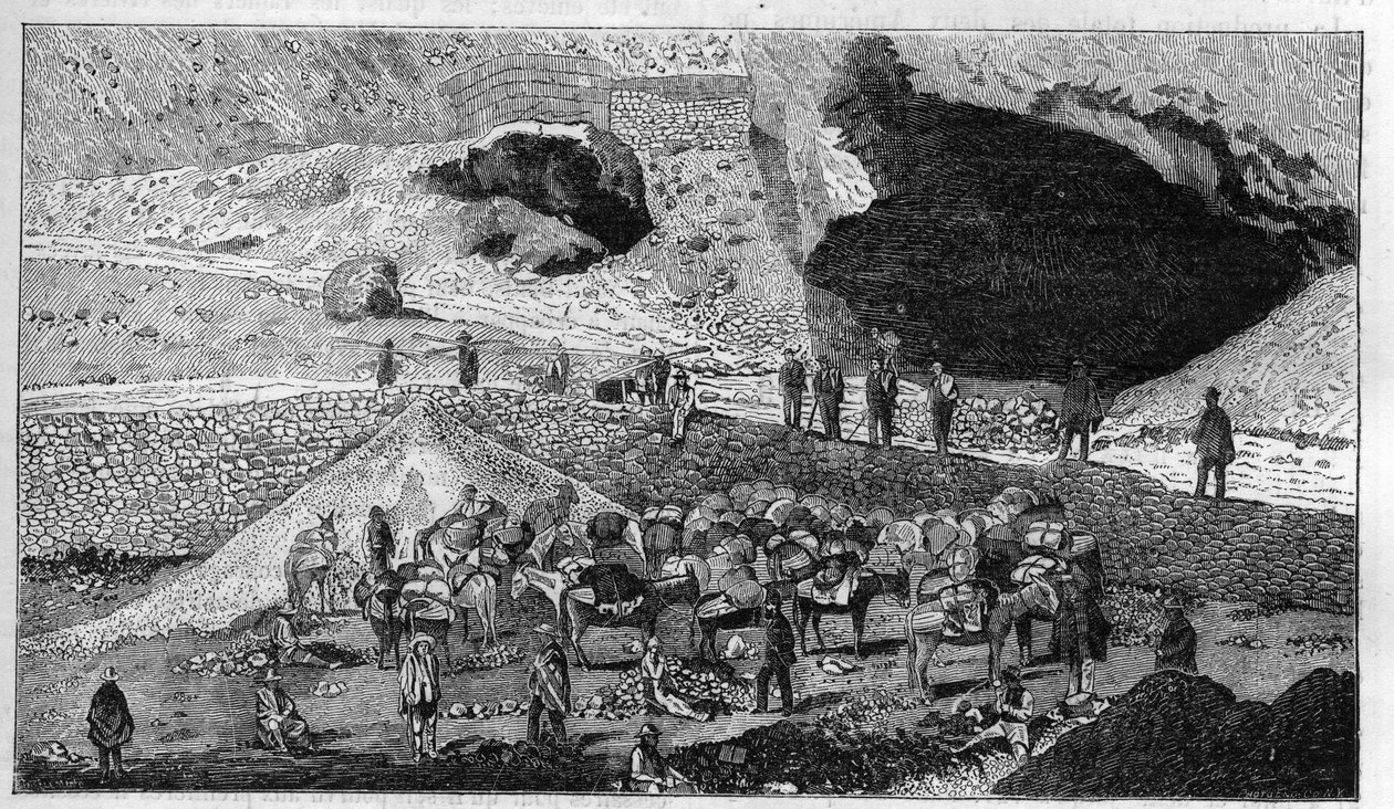 Cerro de Pasco silvergruva i Peru: transport av malm på baksidan av Mulet. Gravyr i "" La Nature"" av Unknown artist