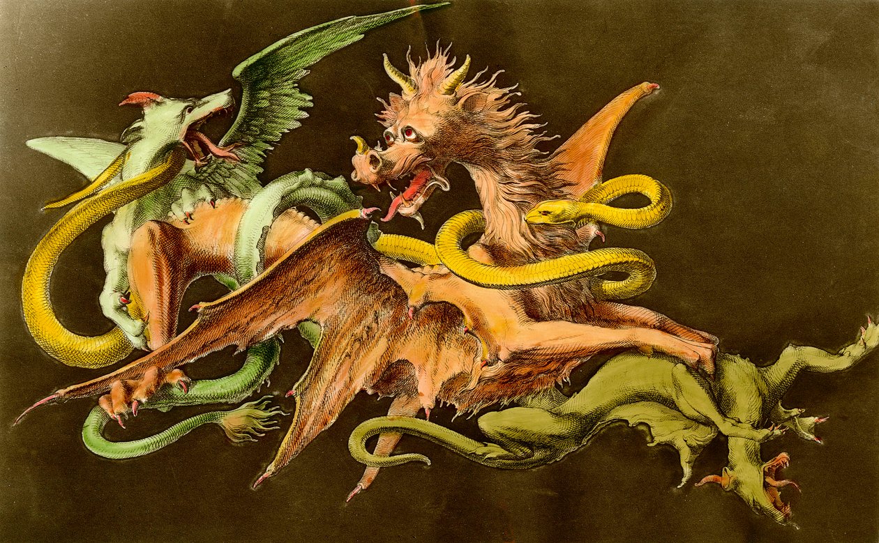 Chimeres En drake som slåss mot två monster. Gravyr från 1800-talet. av Unknown artist