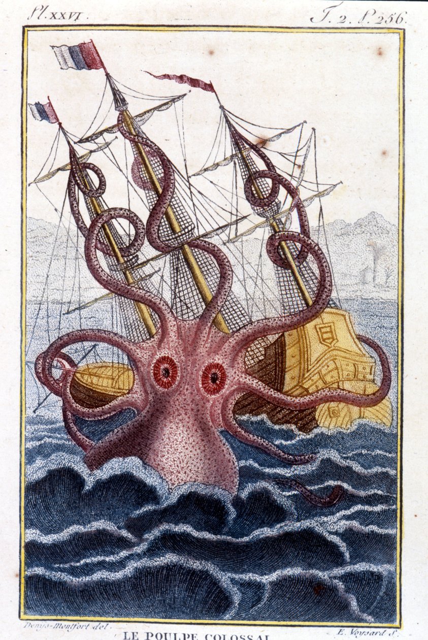 Kolossal bläckfisk (bläckfisk, jättebläckfisk, kraken) attackerar ett skepp (skepp, skepp) - gravering av boken av Pierre Denys-Montfort (Denys de Montfort 1766-1820) "" Histoire naturelle des mollusques", originalutgåva från 1802) - av Unknown artist