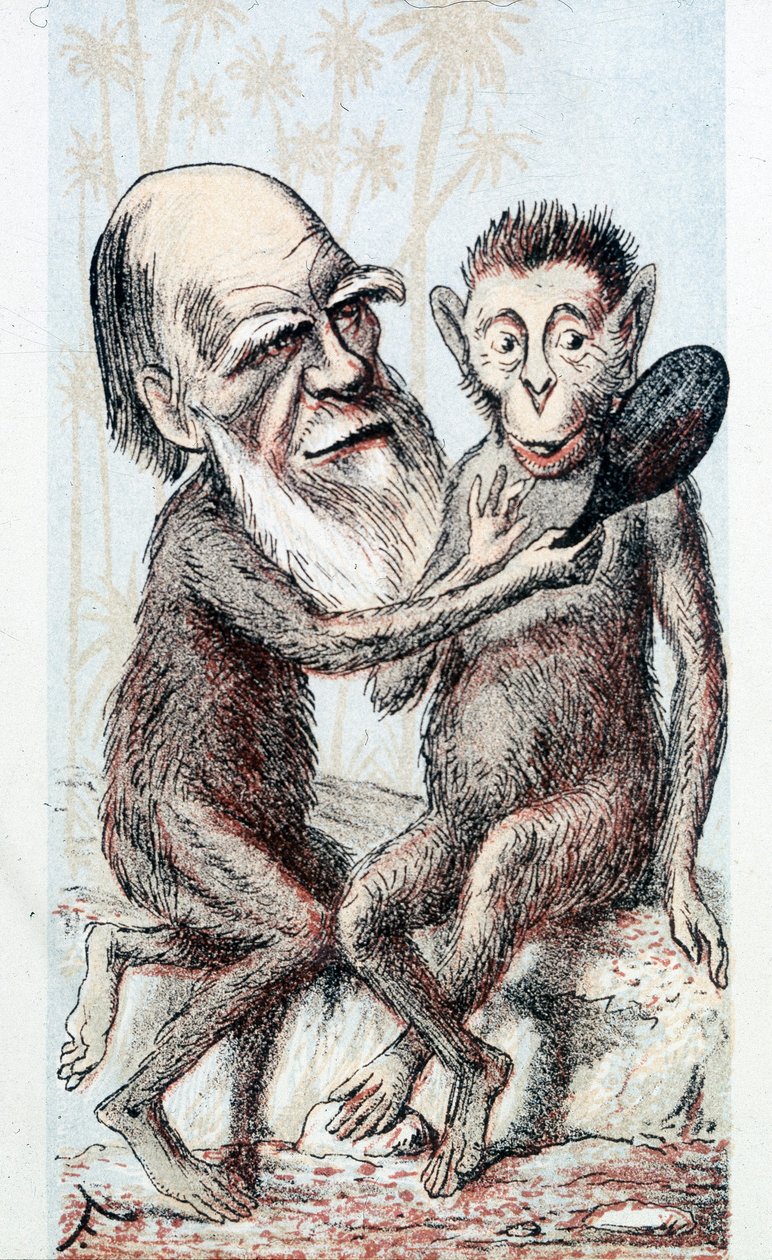 Komedi som bygger på Darwins teori - i "London Sketchbook" av Unknown artist