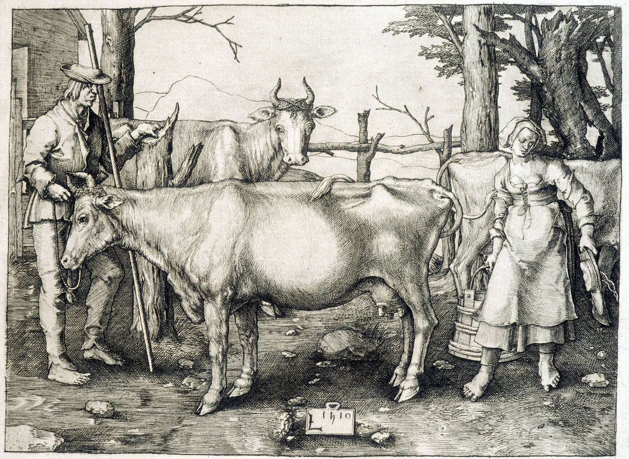 Cowl och mejeri i Holland av Unknown artist