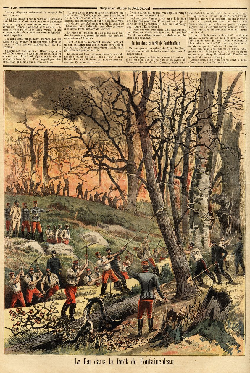 Kriminell brand i skogen i Fontainebleau. Gravyr i "" Le petit journal"" 1893-04-22. Selvas samling. av Unknown artist
