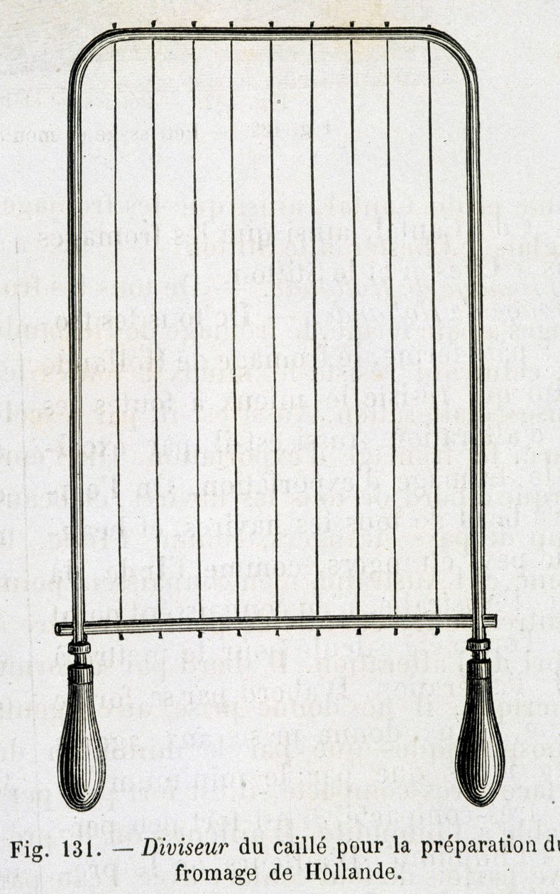 Ostmassaavdelare för beredning av holländsk ost - i "" Industrins underverk"" av Louis Figuier av Unknown artist