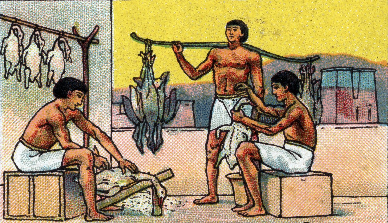 Dagligt liv i forntida Egypten: uppfödning och beredning av gäss i saltning, början av 1900-talet (chromo) av Unknown Artist