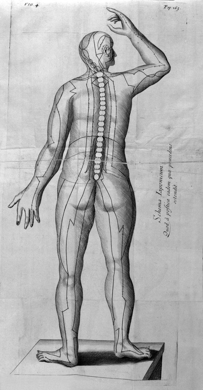 De Acupunctura av W.Ten Rhijn. London 1683. Första västerländska text som handlar om akupunktur. av Unknown artist