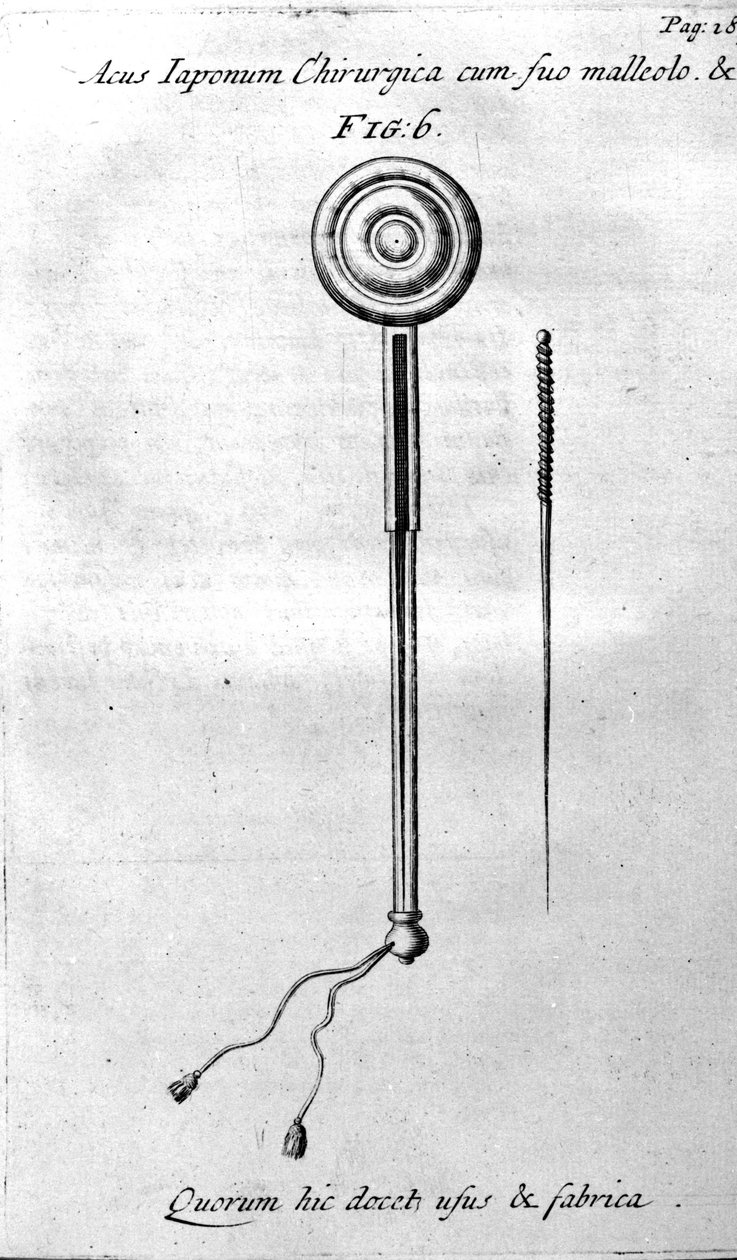 De Acupunctura av W.Ten Rhijn. London 1683. Första västerländska text som handlar om akupunktur. av Unknown artist