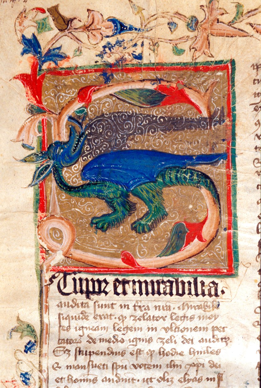 Dragon Decoree Lettrine Detalj av 1300-talsmanuskript av Unknown artist