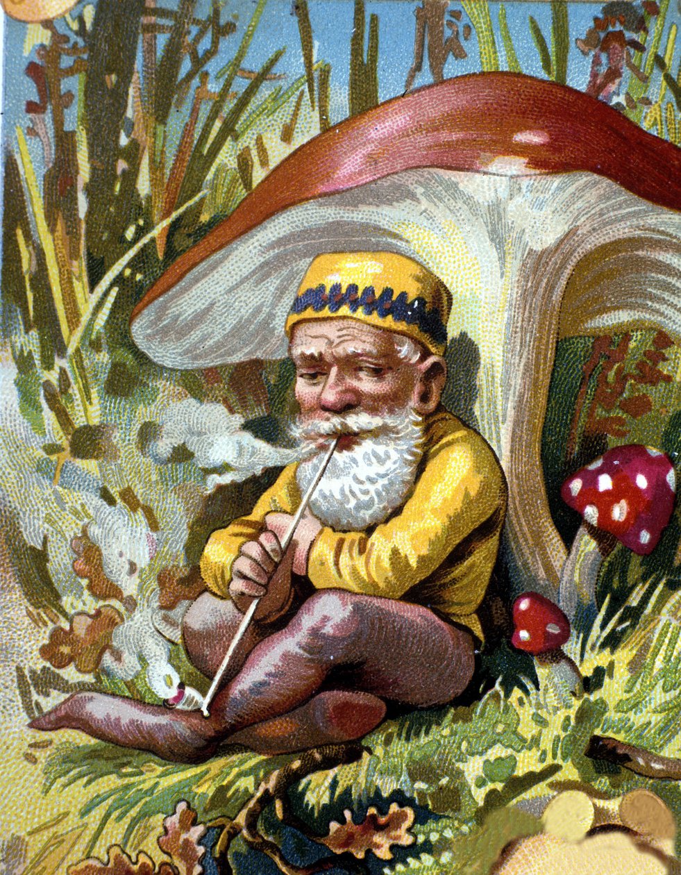 Dvärg eller farfadet som röker pipan. 1800-talets kromolitografi. av Unknown artist