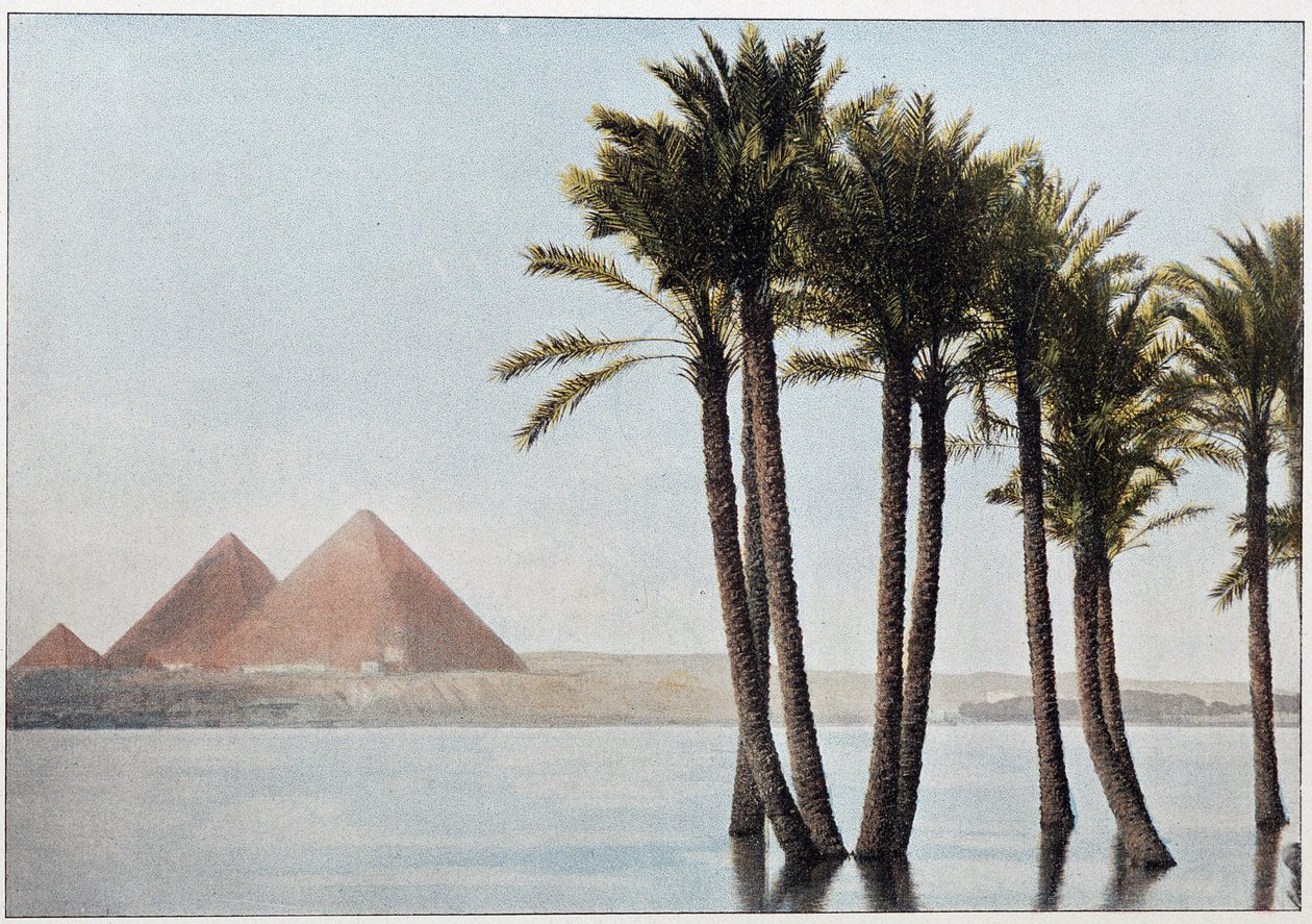 Egypten: floden Nilen och pyramiderna i Giza (Gizeh, Gizeh, Giza). av Unknown artist