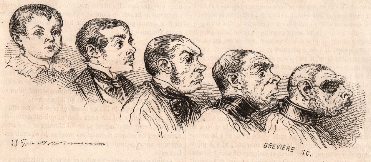 Evolution av ett barn till vuxen ålder och degeneration av den vuxna till att vara ett odjur av Unknown