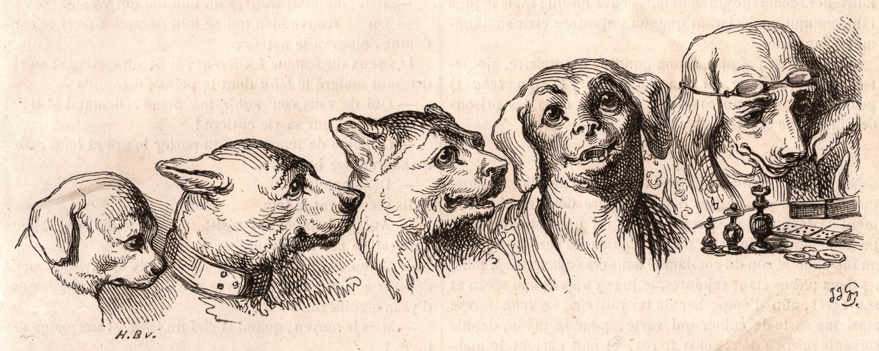 Evolution av en hund till en mänsklig form av Unknown