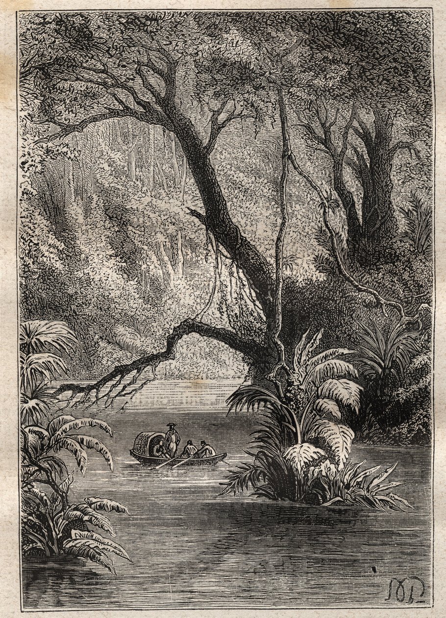 Expedition till Amerika (1799-1804) av Alexander von Humboldt (1769-1859) och Aime Bonpland (1773-1858): upptäcktsresandena går ner till Orenoque, omgivna av Amazonas gigantiska träd (Cano Pimichin, Venezuela) - illustration tagen från "The Great av Unknown artist