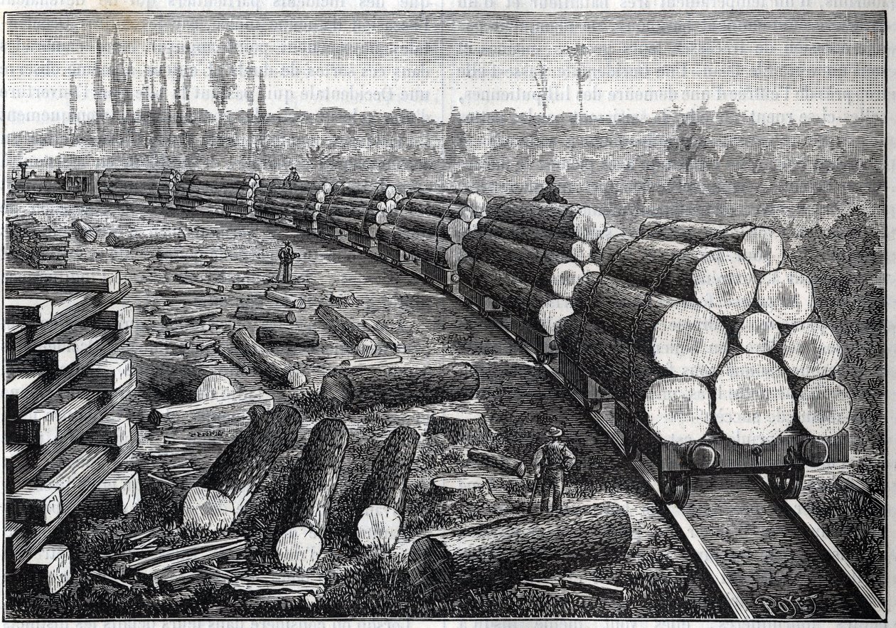 Exploatering av USA:s skogar. Tillfälliga järnvägar med träspår. Vagnar som bär trädstammar. Gravyr i "" La Nature"" av Unknown artist