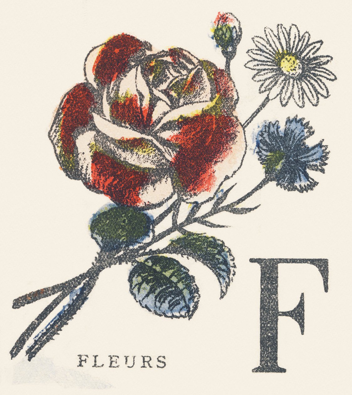 F: blommor av Unknown artist