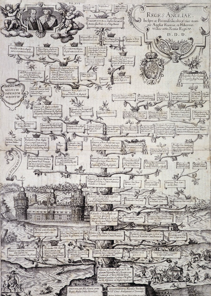 Släktträd för den kungliga familjen i England från 1100- till 1600-talet - gravyr av Unknown artist