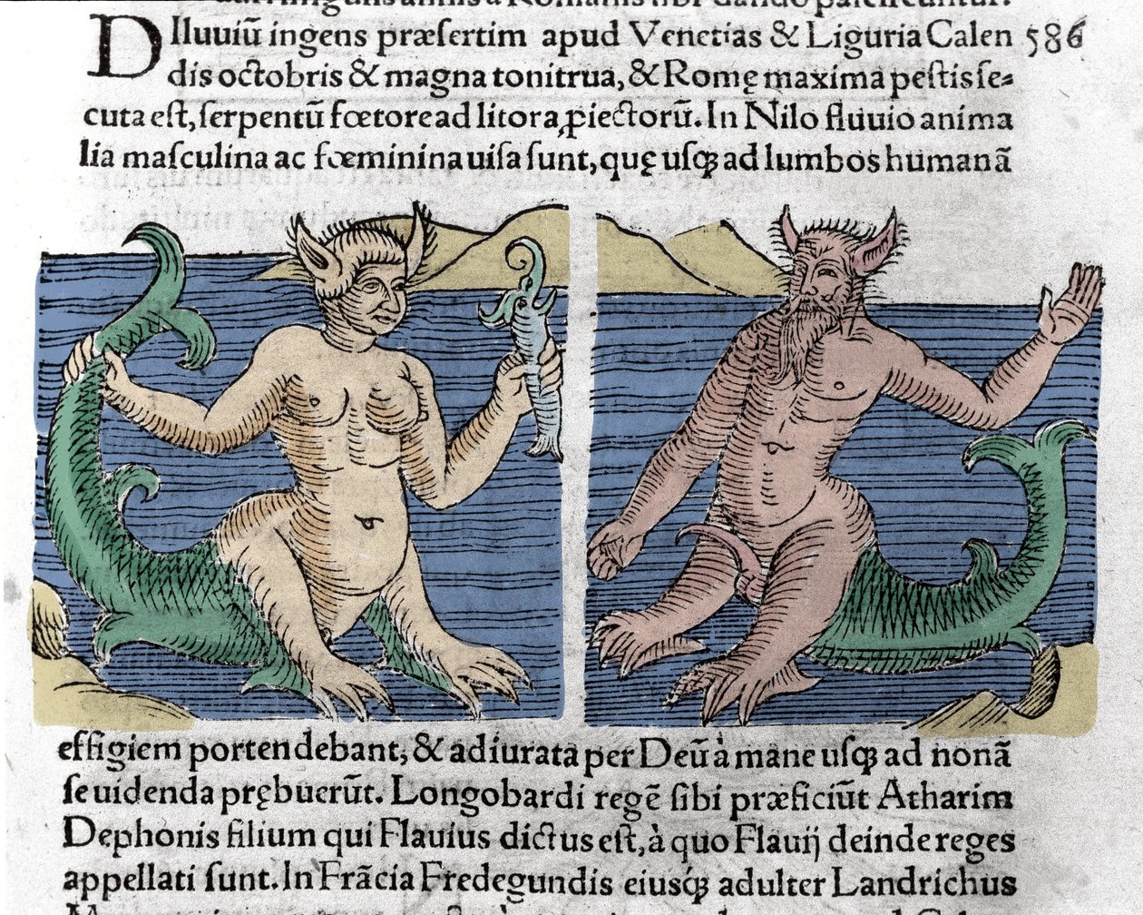 Fantastiska varelser: En vattensalamander och en siren sett i Nilen. Gravyr från "Le livre des prodiges" (Chronicle of the prodigals and portents of Basileae) av Wolfhart (Conrad Lycosthene) 1557 av Unknown artist