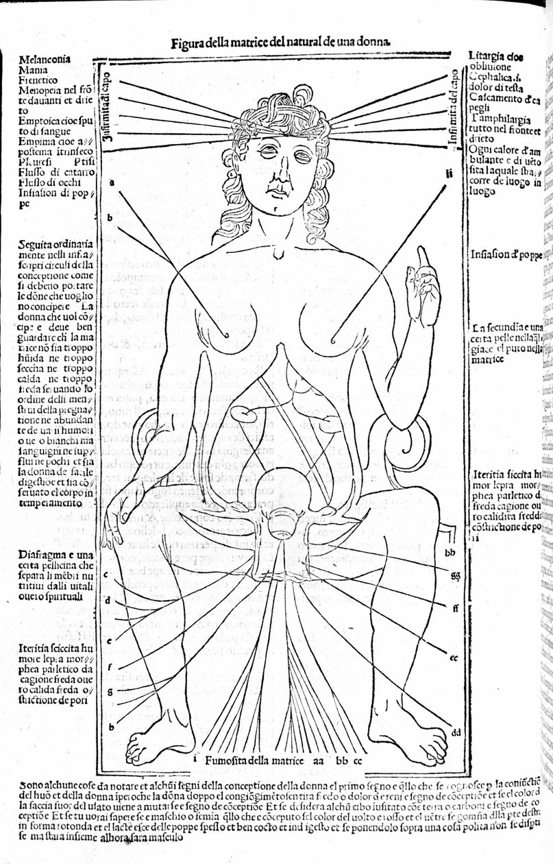 Kvinnlig reproduktionsapparat - i Treatise of Medicine av Gerolamo Cardano (Cardano) (Cardanus Hieronymus), Florens 1585. av Unknown artist