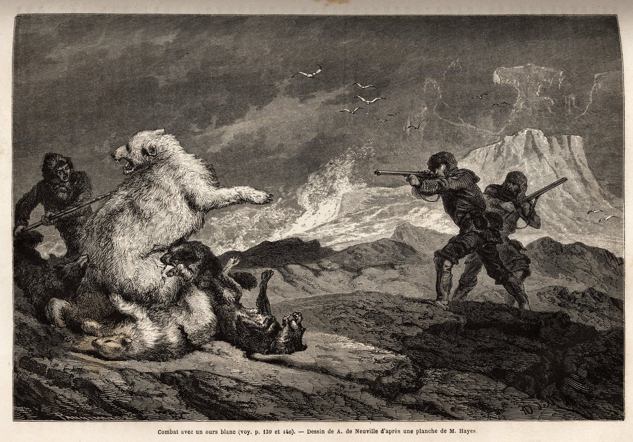 Slåss med en isbjörn som skyddar hennes bebis, flocken hundar anfaller henne och jägarna, gevärsvapen, väntar på rätt tidpunkt för att skjuta henne. Gravyr för att illustrera resan till den arktiska polens fria hav, av doktor Hayes, kirurg i USA av Unknown artist