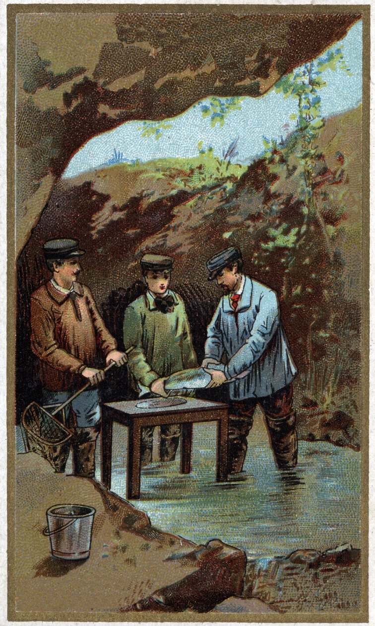 Fiskodling: konstgjord utläggning. Kromolitografi från slutet av 1800-talet av Unknown artist