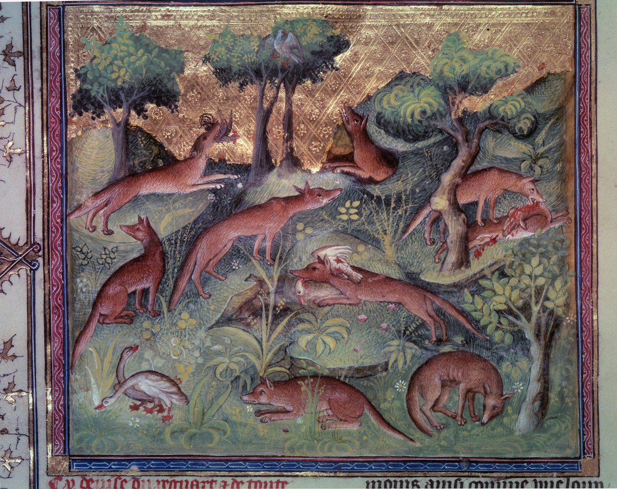 Rävjakt fjäderfä. Miniatyr från manuskriptet "" Le livre de la chasse"" (folio 34v) av Gaston Phoebus (1331-1391) dit Gaston III Comte De Foix av Unknown artist