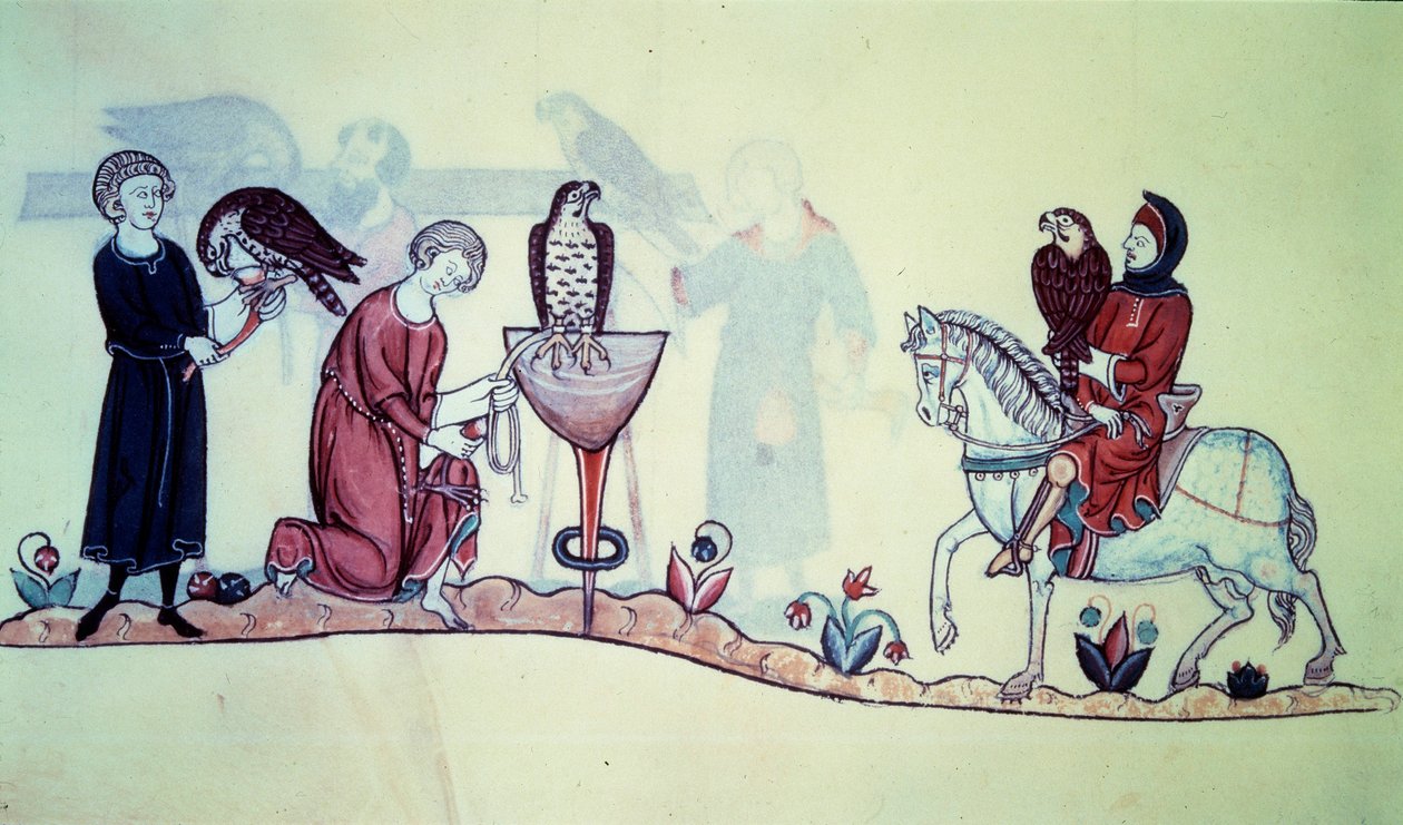 Fredrik II (1194 - 1250) tysk kejsare 1212. Miniatyr kommer från en falkenjakt från 1200-talet. Paris. B N av Unknown artist