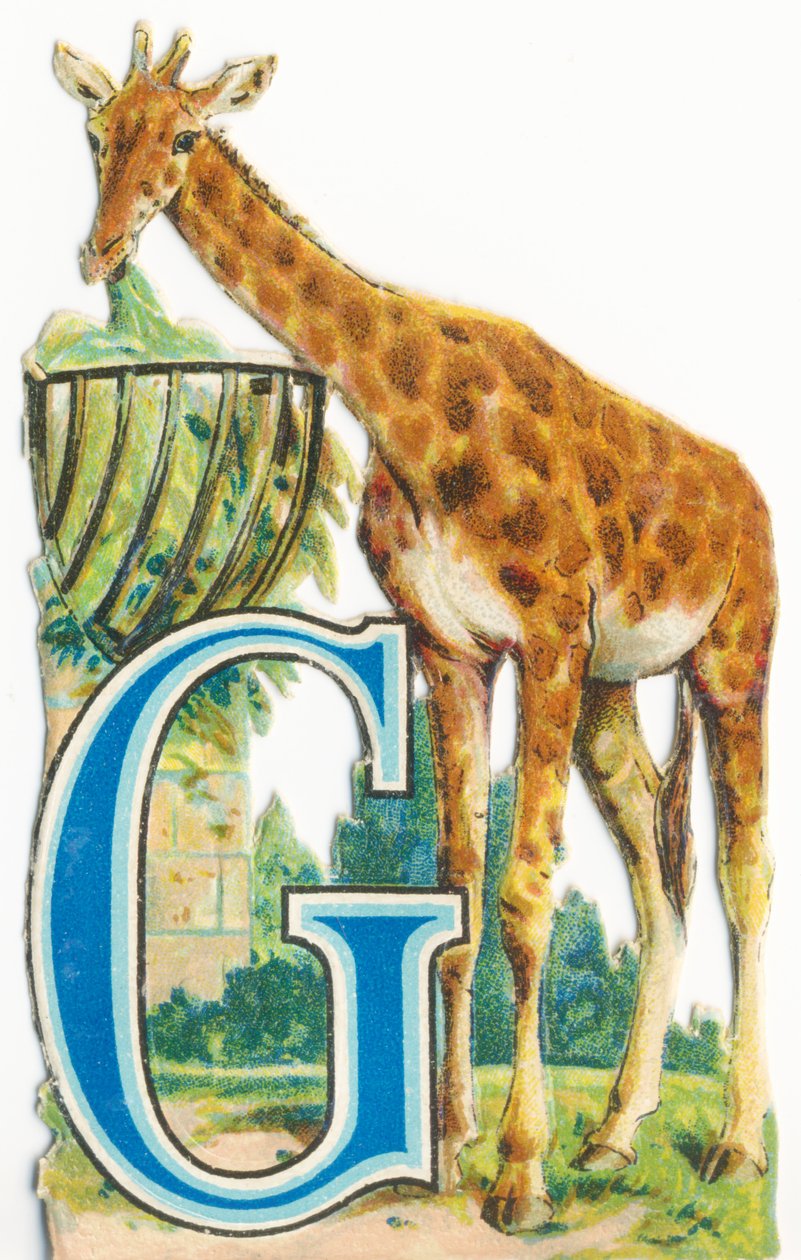 G: Girafgift av Unknown artist