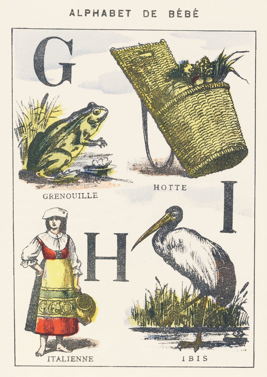 G H I: groda, huva, italiensk, ibis av Unknown artist