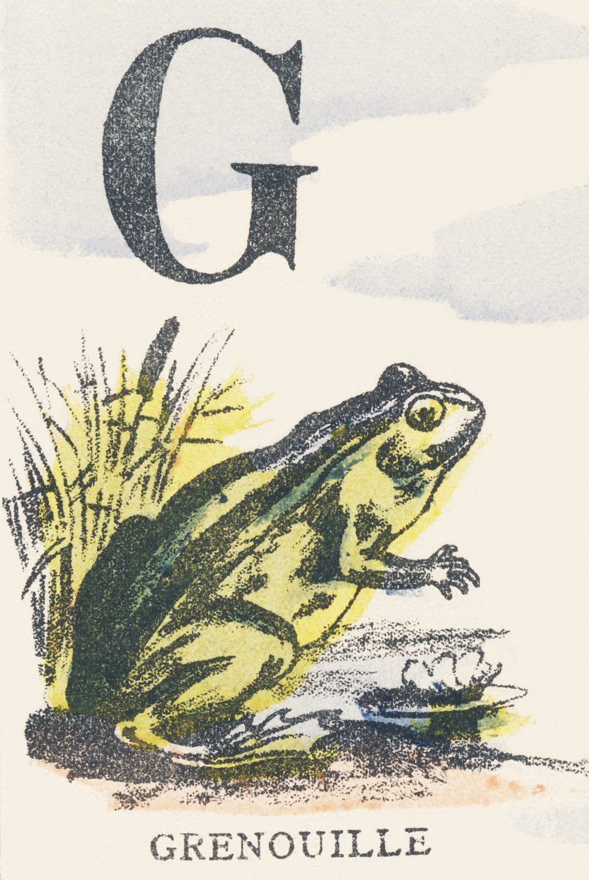 G: groda av Unknown artist