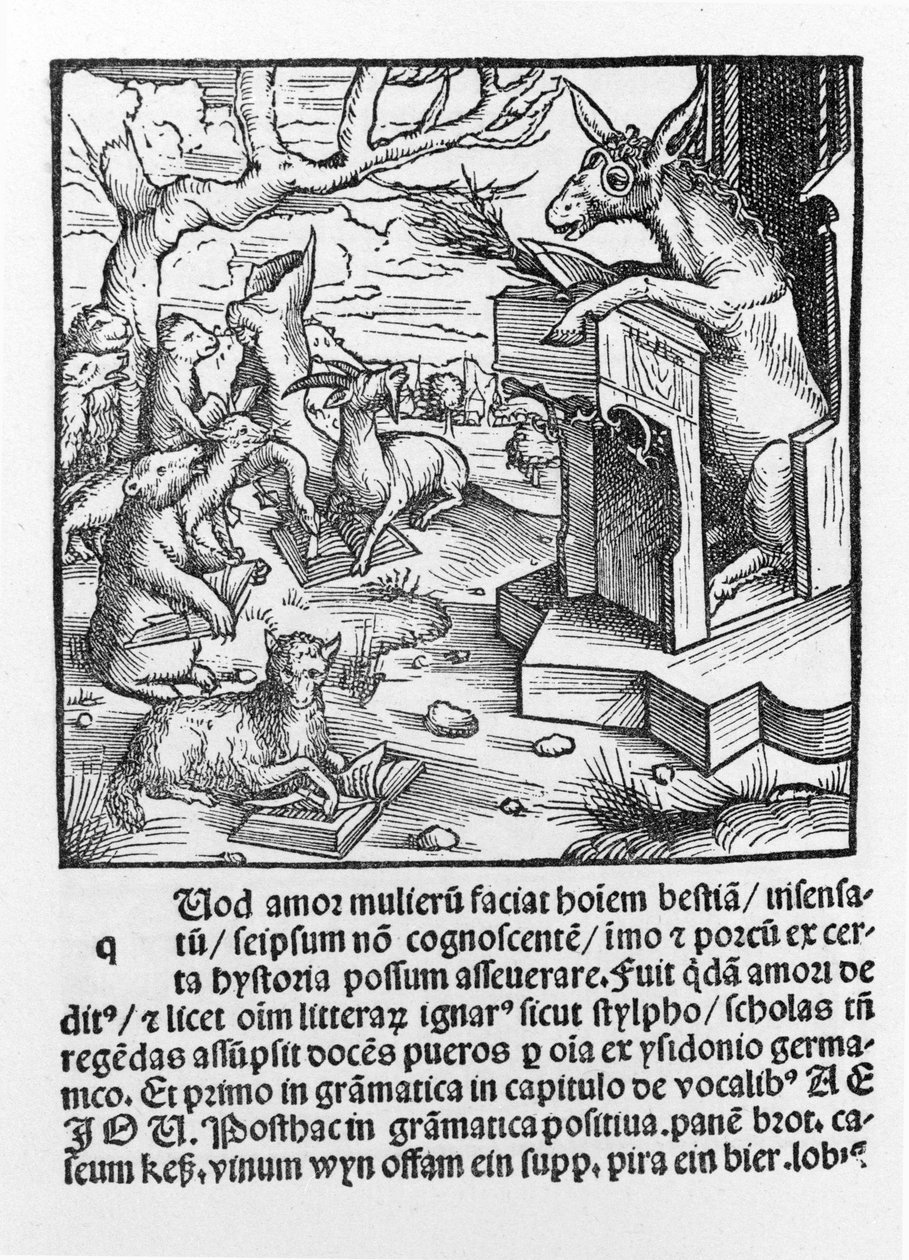 Tysk inkunabel föreställande en åsna som undervisar en klass av skogsdjur. 1490. av Unknown artist