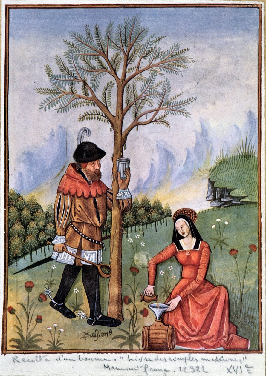 Skörda en balsam - Bok med enkla mediciner av Unknown artist
